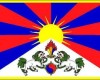 G.S. Theme: Human Rights & Tibet