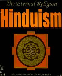 Report reflecting human rights violations of Hindus in South Asia released