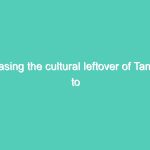 Erasing the cultural leftover of Tamils to convert Sri Lanka into Sinhala country