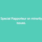 Special Rapporteur on minority issues.