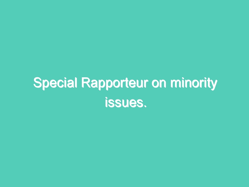 Special Rapporteur on minority issues.