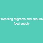 Protecting Migrants and ensuring food supply