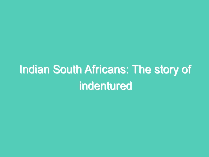 Indian South Africans: The story of indentured labourers