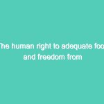 The human right to adequate food and freedom from hunger
