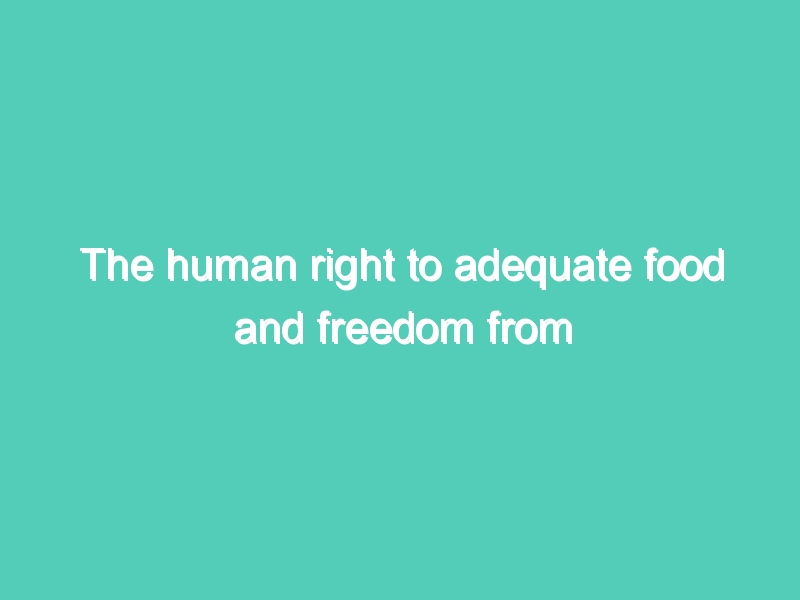 The human right to adequate food and freedom from hunger