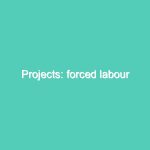 Projects: forced labour