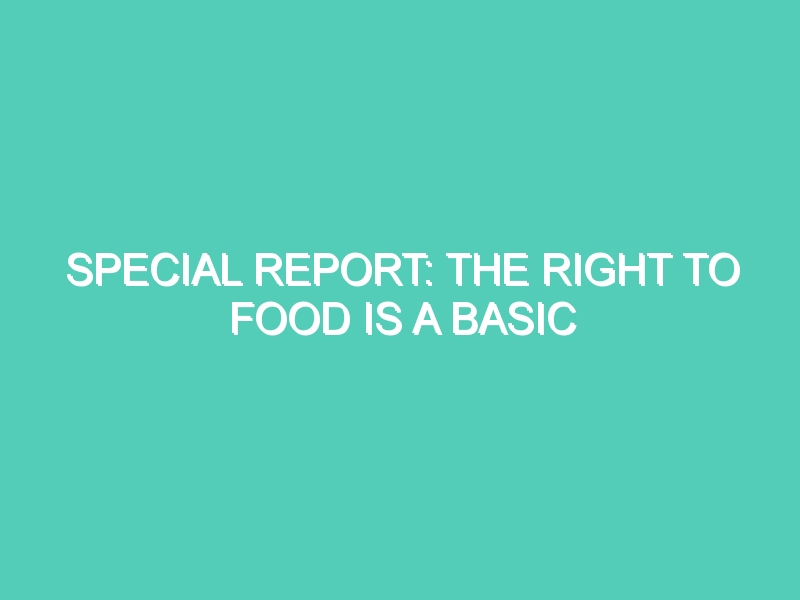 SPECIAL REPORT: THE RIGHT TO FOOD IS A BASIC HUMAN RIGHT