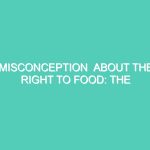 MISCONCEPTION  ABOUT THE RIGHT TO FOOD: THE CONCEPT OF A RIGHT TO FOOD IS TOO THEORETICAL–IT IS FOOD, NOT THE RIGHT TO FOOD, THAT IS NEEDED